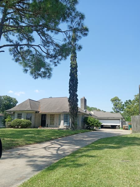 Tree care in Galveston